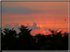 foto Tramonto sulla Pedemontana Veneta